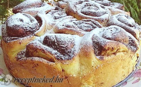 Kakaós csiga tortaformában sütve