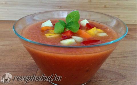 Gazpacho leves