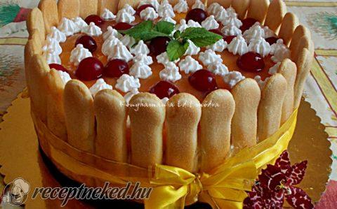 Diplomata torta