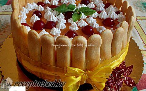 Diplomata torta