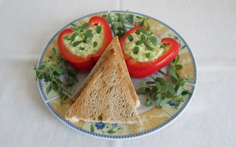 Majonézes cukkínimetélttel töltött paprika
