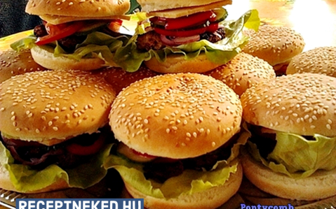 Hamburger