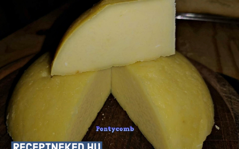 Házi sajt