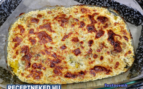 Szaftos pulykamell gombával és sajttal