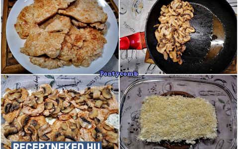 Szaftos pulykamell gombával és sajttal