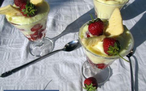 Wellness puding