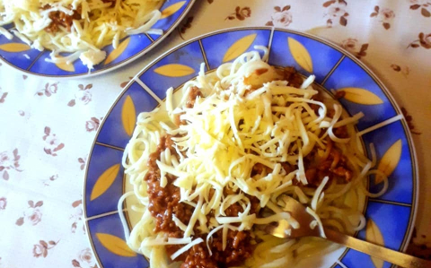 Bolognai
