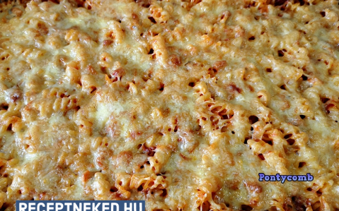 Hamis bolognai (maradékmentő)