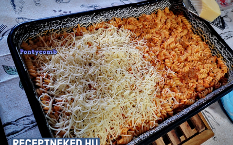 Hamis bolognai (maradékmentő)