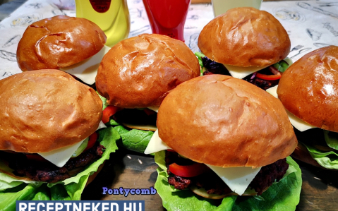 Pulykaburger