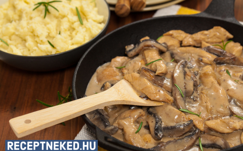 Csirke stroganoff