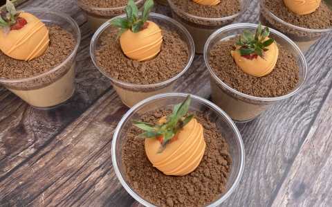 Répaföld csokimousse