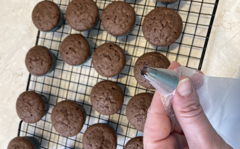 “Nyuszi a fűben” cupcake
