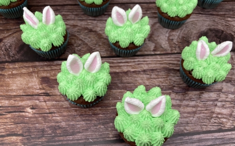 “Nyuszi a fűben” cupcake