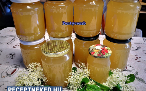 Bodzavirágdzsem citromfűvel