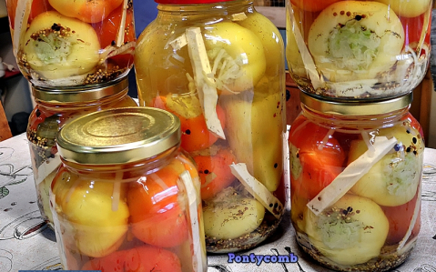 Káposztával töltött almapaprika (savanyúság)