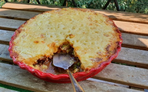 Pásztorpite