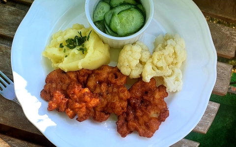 Csirke tócsni