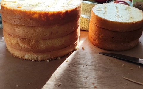 Tortapiskóta