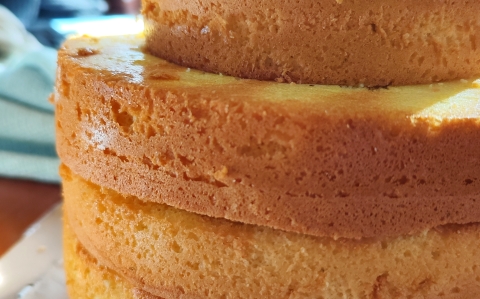 Tortapiskóta